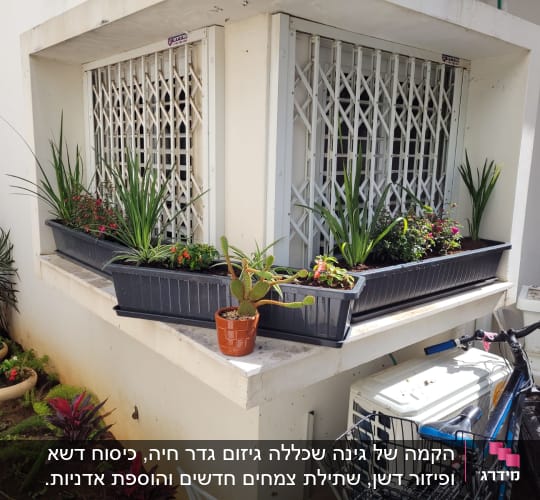 עציצים עם צמחים ופרחים על אדן חלון